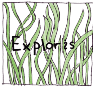 EXPLORIS ELEMENTARY ART DAY (Optional Get Together)