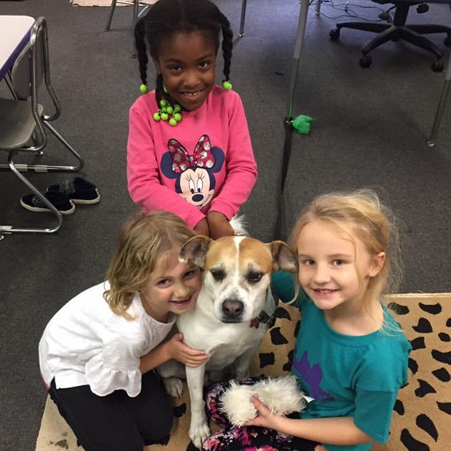 49021028_10209862020506544_8674839519846989824_n