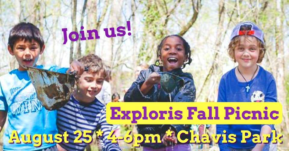 68900548_1314737115353034_5652913531247394816_n